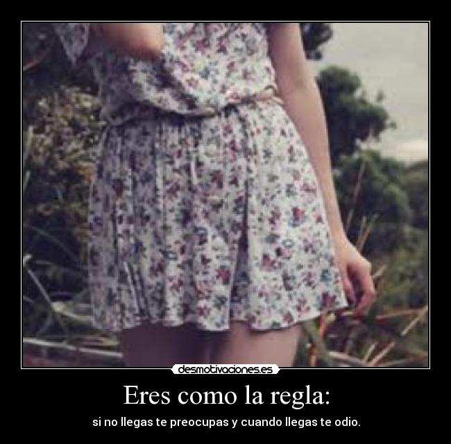 carteles laaliicia desmotivaciones