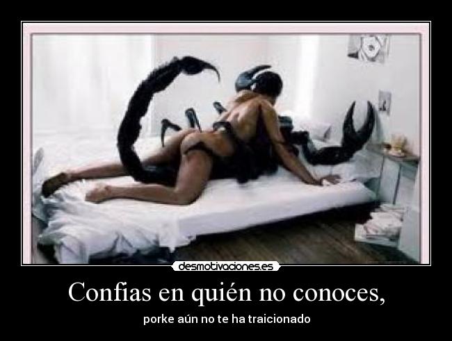 Confias en quién no conoces, - porke aún no te ha traicionado