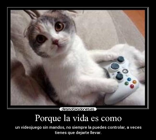 Porque la vida es como - 