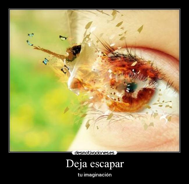 Deja escapar - tu imaginación