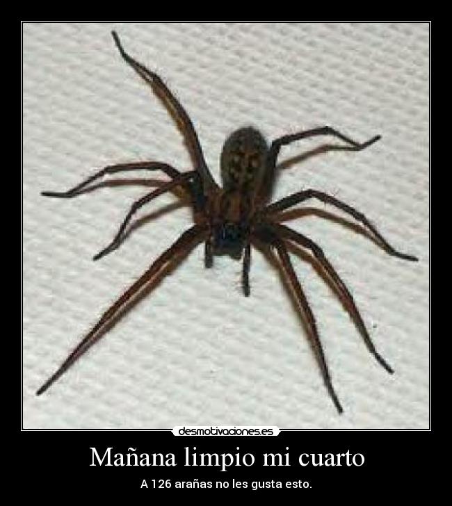 Mañana limpio mi cuarto - 