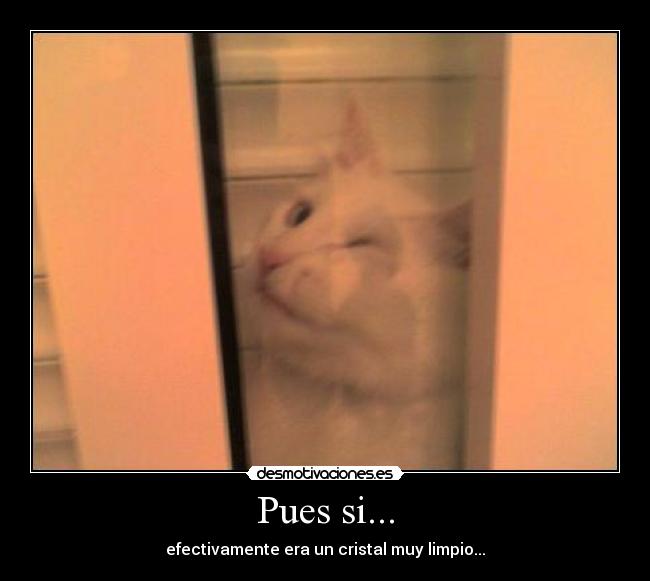 Pues si... -