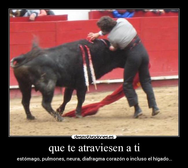 carteles muerte toros desmotivaciones