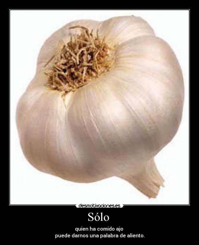 Sólo -