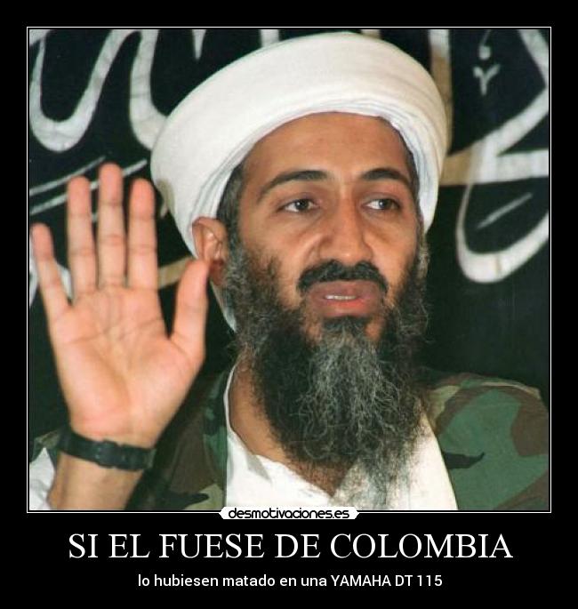 carteles osama desmotivaciones