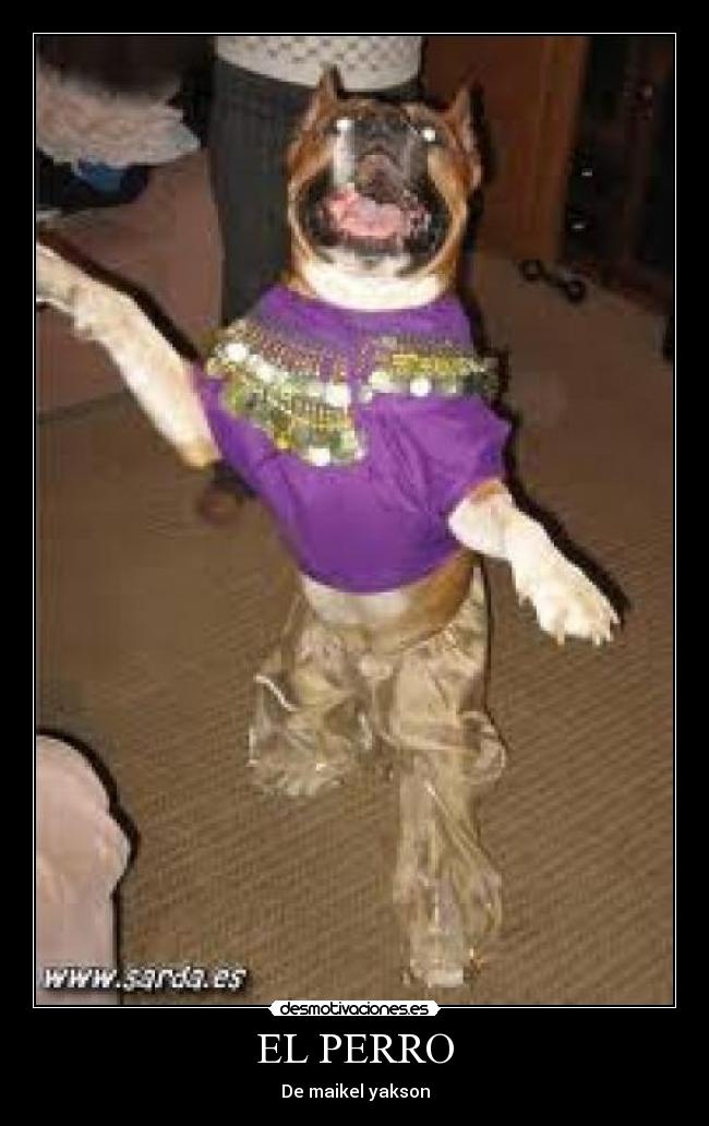 EL PERRO - De maikel yakson