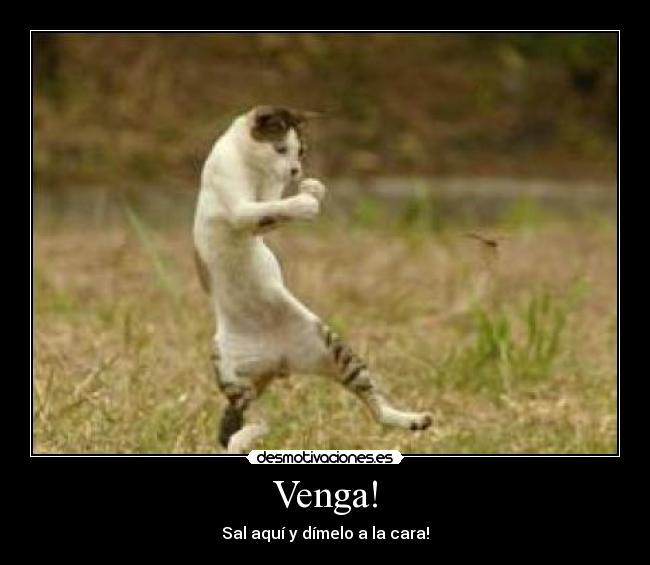 Venga! - 