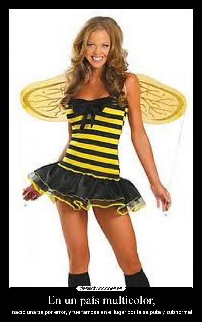 En un país multicolor, -