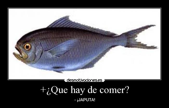 +¿Que hay de comer? - - ¡JAPUTA!