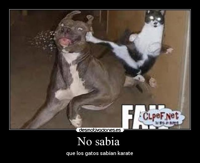 No sabia  - 