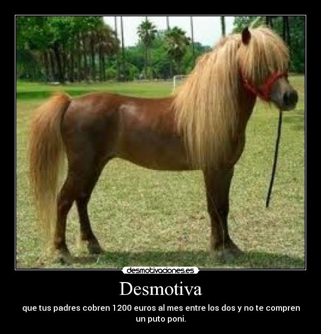 Desmotiva - 