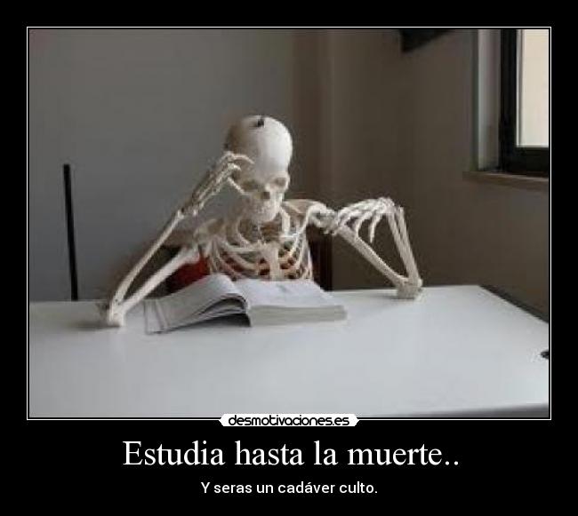 Estudia hasta la muerte.. - Y seras un cadáver culto.
