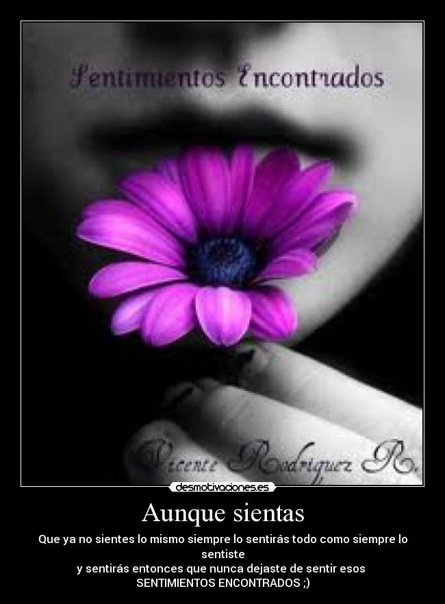 carteles amor98p desmotivaciones