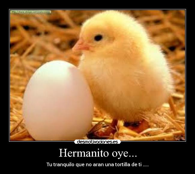 Hermanito oye... - 