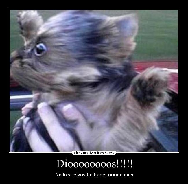 Dioooooooos!!!!! - No lo vuelvas ha hacer nunca mas