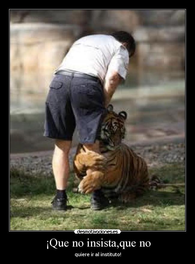 ¡Que no insista,que no - quiere ir al instituto!