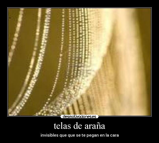 telas de araña - 