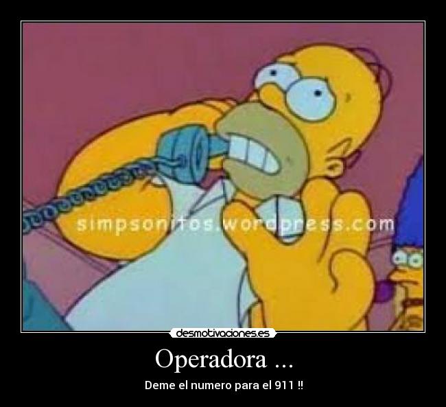 Operadora ... - Deme el numero para el 911 !!
