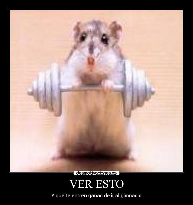 carteles lol desmotivaciones