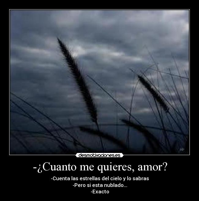-¿Cuanto me quieres, amor? - -Cuenta las estrellas del cielo y lo sabras
-Pero si esta nublado...
-Exacto