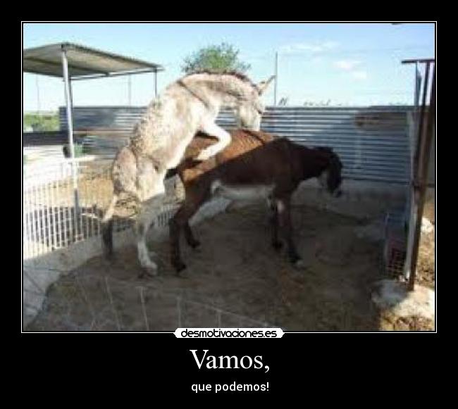 Vamos, -