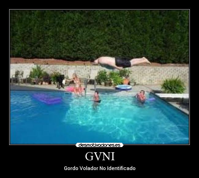 GVNI - Gordo Volador No Identificado