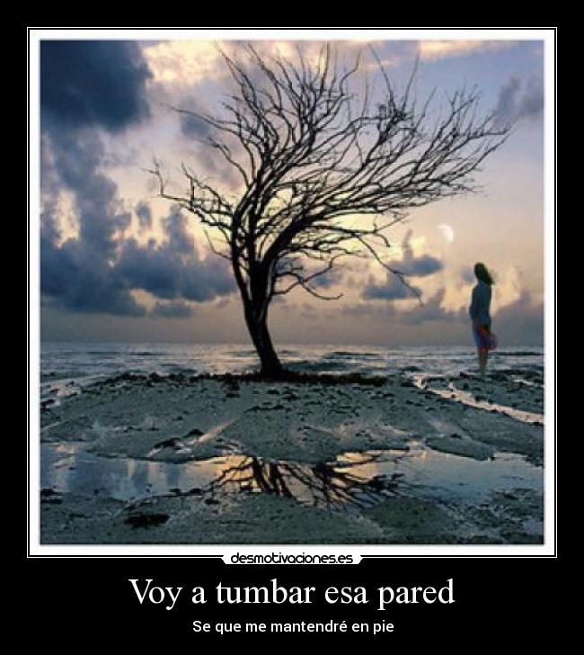 Voy a tumbar esa pared - Se que me mantendré en pie