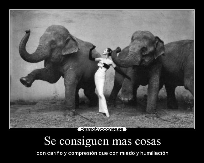 Se consiguen mas cosas -