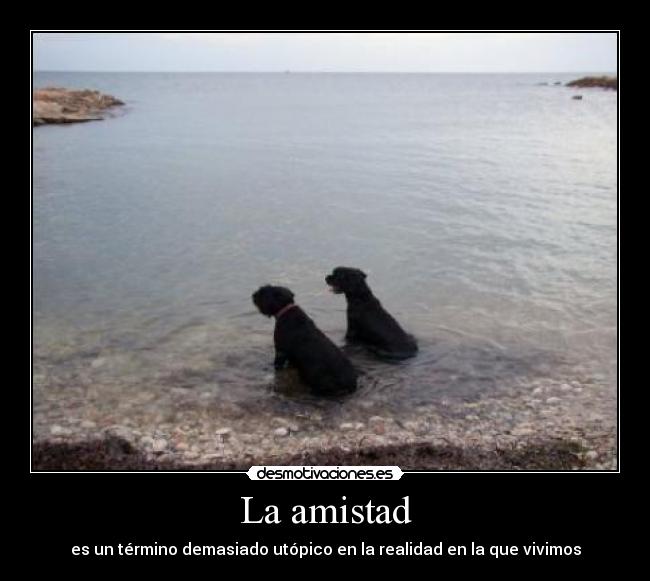 La amistad - es un término demasiado utópico en la realidad en la que vivimos