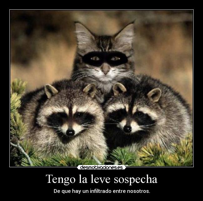 Tengo la leve sospecha -