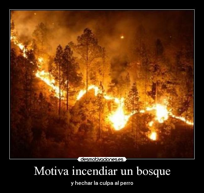 Motiva incendiar un bosque - 
