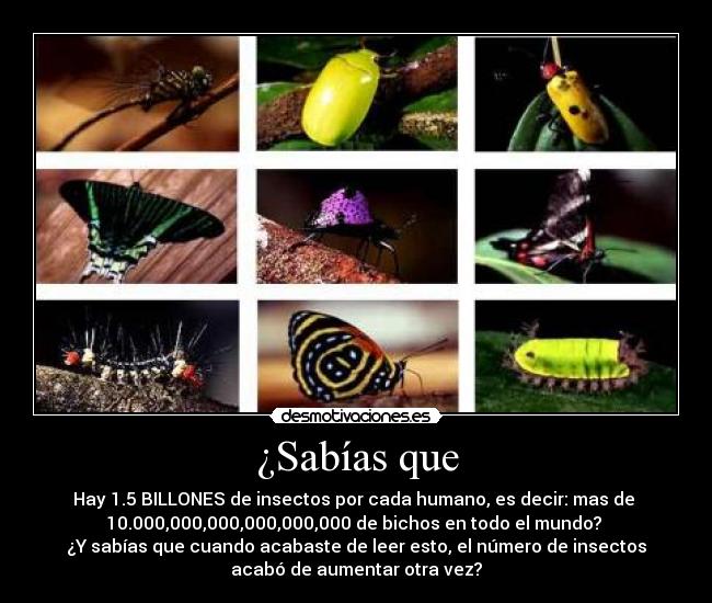 ¿Sabías que - Hay 1.5 BILLONES de insectos por cada humano, es decir: mas de
10.000,000,000,000,000,000 de bichos en todo el mundo?
¿Y sabías que cuando acabaste de leer esto, el número de insectos
acabó de aumentar otra vez?