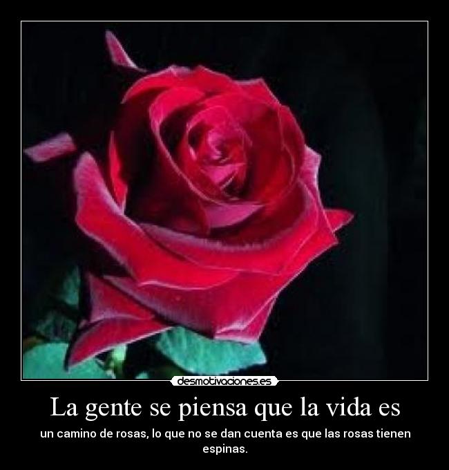 La gente se piensa que la vida es - 