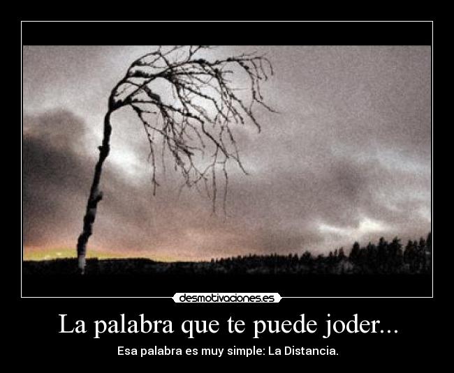 carteles amor jodido por distancia desmotivaciones