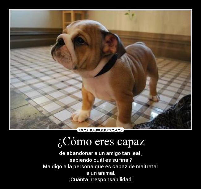 ¿Cómo eres capaz - 