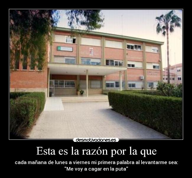 Esta es la razón por la que - 