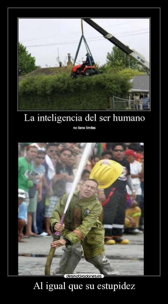 Al igual que su estupidez -