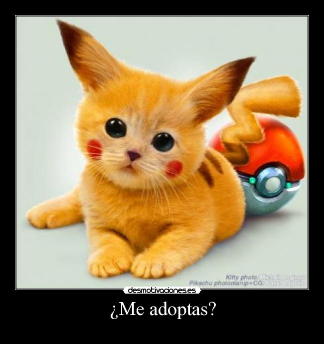 carteles pikacho adoptar desmotivaciones