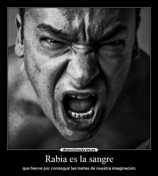 Rabia es la sangre -