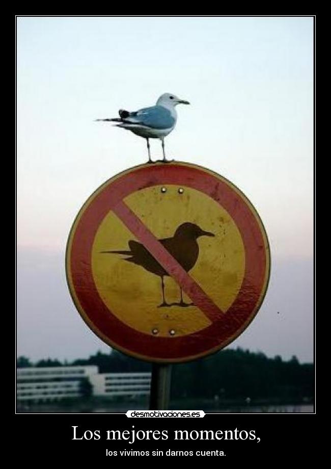 Los mejores momentos, - los vivimos sin darnos cuenta.