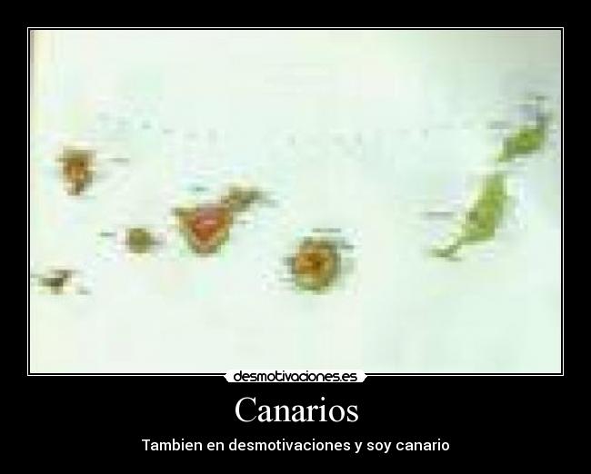 Canarios - 