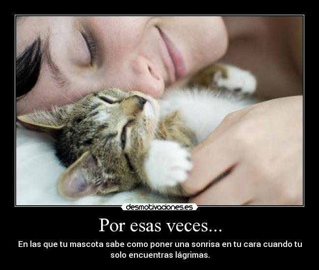 Por esas veces... - 