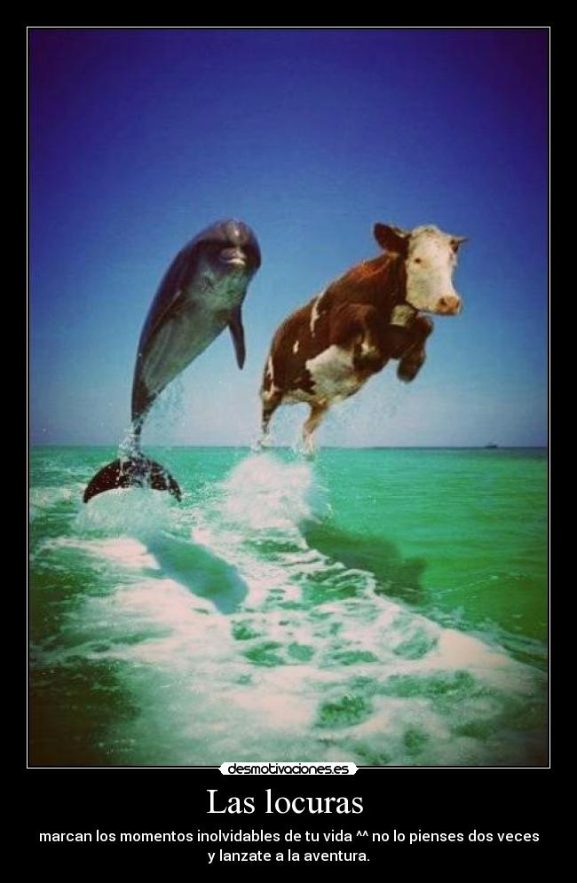 carteles locuras desmotivaciones