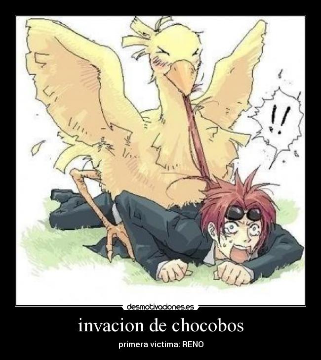 invacion de chocobos - primera victima: RENO