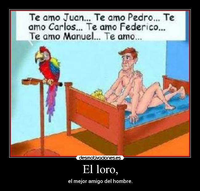 El loro, - el mejor amigo del hombre.