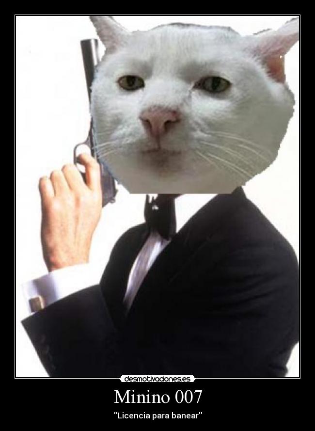 carteles fomites clanvirus 559 cartel chorra desmotivaciones