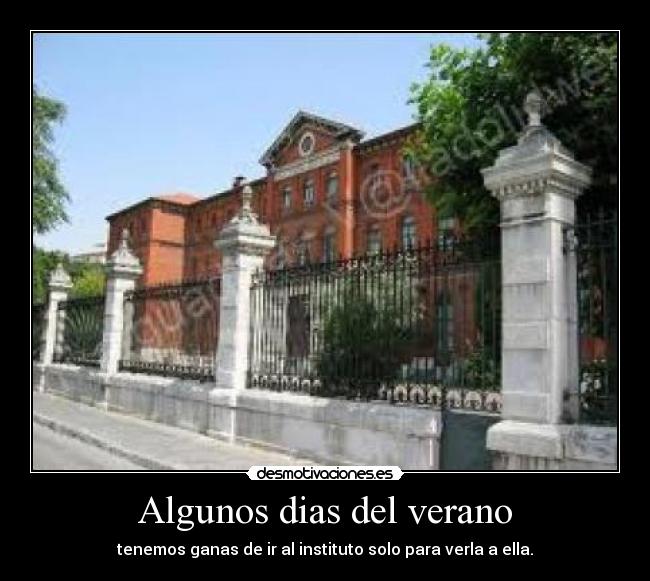 Algunos dias del verano -