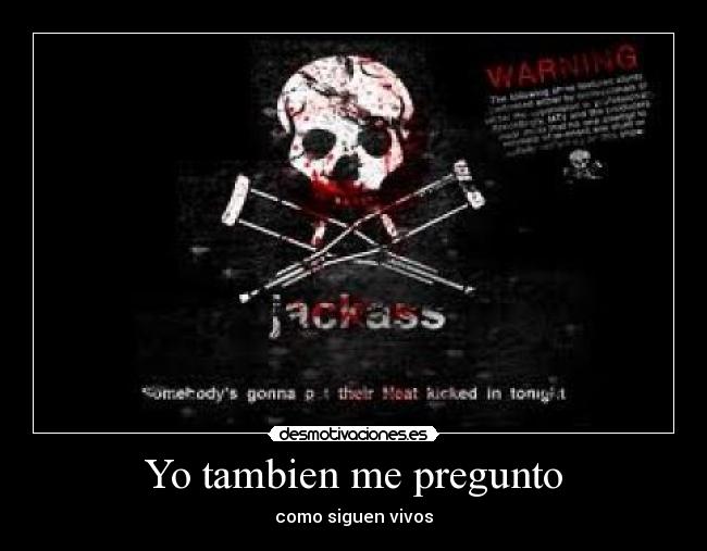 Yo tambien me pregunto - 