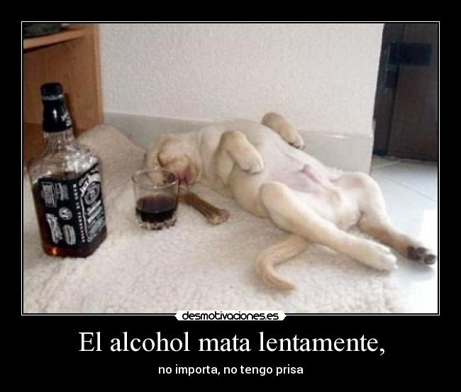 El alcohol mata lentamente, -
