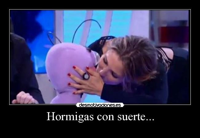 Hormigas con suerte... -
